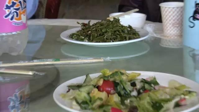 智能出行在一起，春风十里不如你