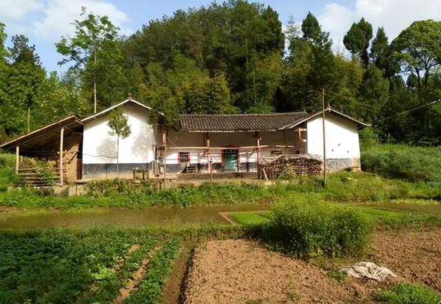 20年前,美女毒贩方晓红被执行注射死刑,临死前向狱警鞠躬忏悔