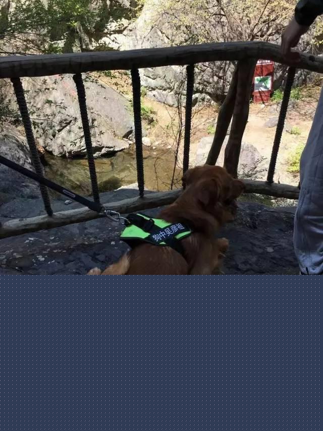 智能出行在一起，春风十里不如你