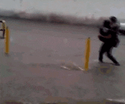 动图:姑娘,这样的厕所你也敢上?