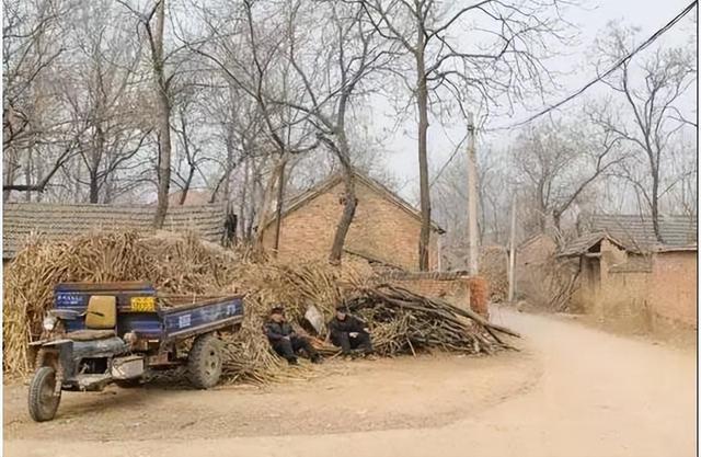 20年前,美女毒贩方晓红被执行注射死刑,临死前向狱警鞠躬忏悔