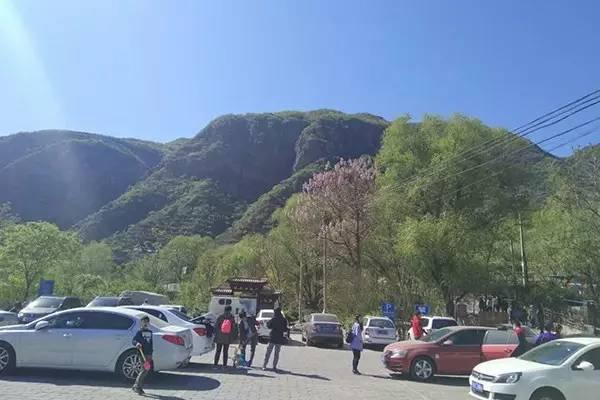 智能出行在一起，春风十里不如你