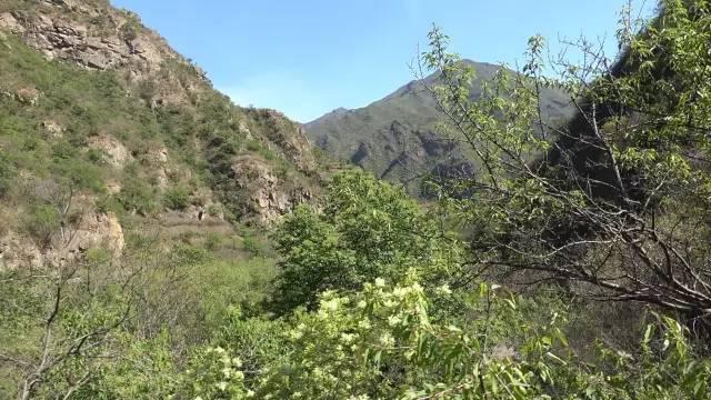 智能出行在一起，春风十里不如你