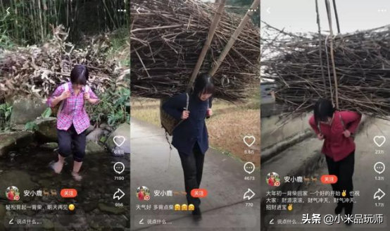 农村也能追求诗和远方!21岁四川美女回乡种地走红,坐拥三百万粉