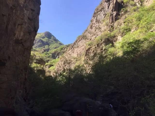 智能出行在一起，春风十里不如你