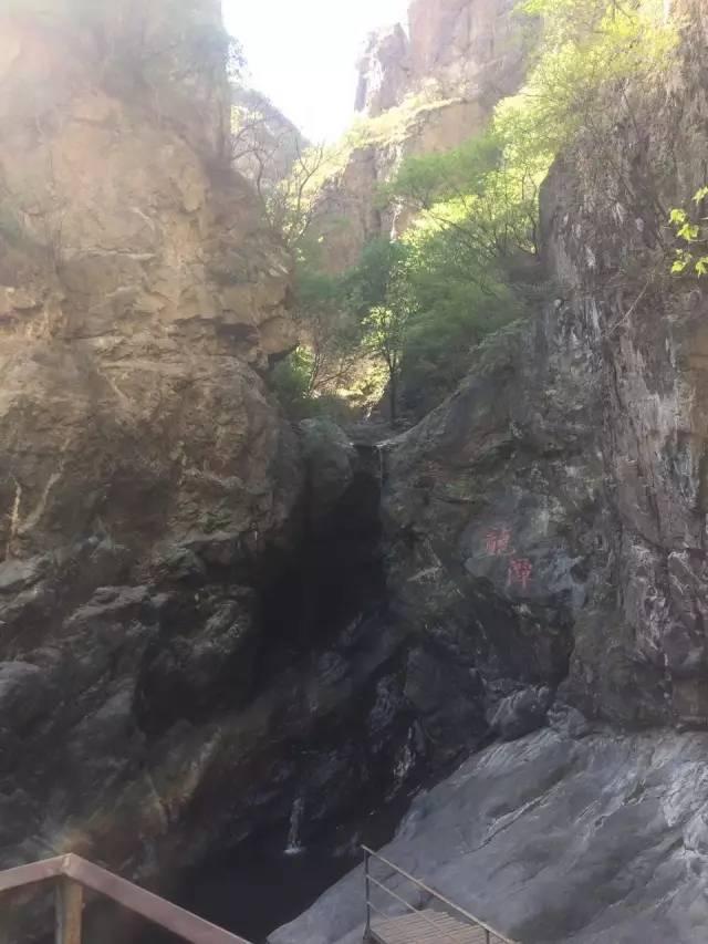 智能出行在一起，春风十里不如你