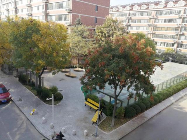 杂乱空地改造成家门口的“口袋公园”,居民锻炼遛弯有地儿了