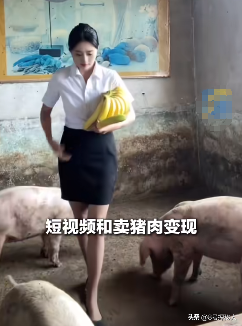 美女空姐裸辞回家养猪,年底俩月收入20万,一次意外却火出圈了!