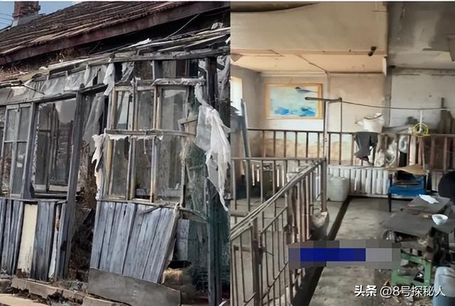 美女空姐裸辞回家养猪,年底俩月收入20万,一次意外却火出圈了!