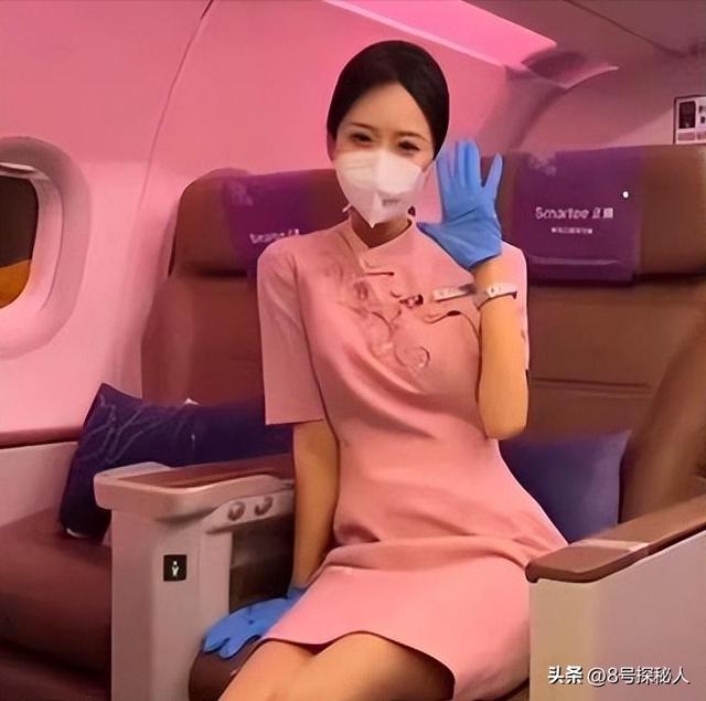 美女空姐裸辞回家养猪,年底俩月收入20万,一次意外却火出圈了!