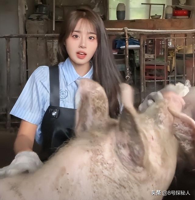 美女空姐裸辞回家养猪,年底俩月收入20万,一次意外却火出圈了!