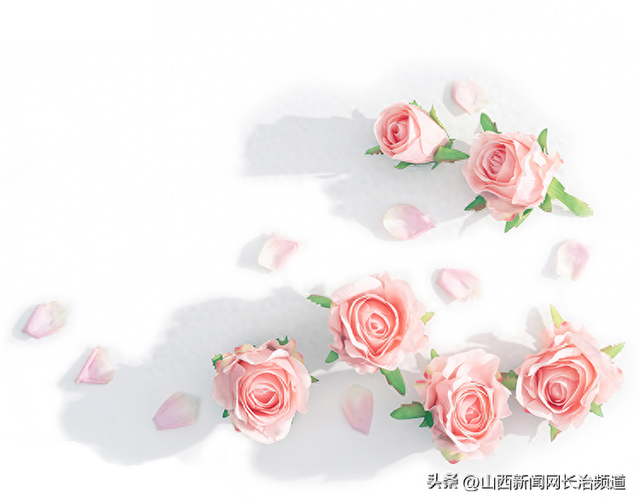 新突破!长治市人民医院妇科成功开展晋东南首例TVUS手术