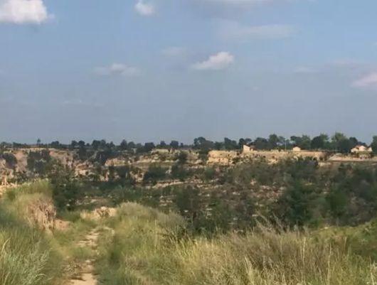 4男子盗挖女尸“配阴婚”被公诉!杀人、盗尸、贩尸…这个习俗比想象中更可怕!