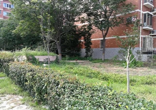 杂乱空地改造成家门口的“口袋公园”,居民锻炼遛弯有地儿了