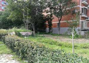 汽车树村(杂乱空地改造成家门口的“口袋公园”，居民锻炼遛弯有地儿了)