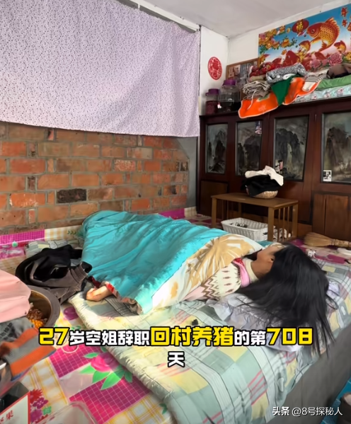 美女空姐裸辞回家养猪,年底俩月收入20万,一次意外却火出圈了!