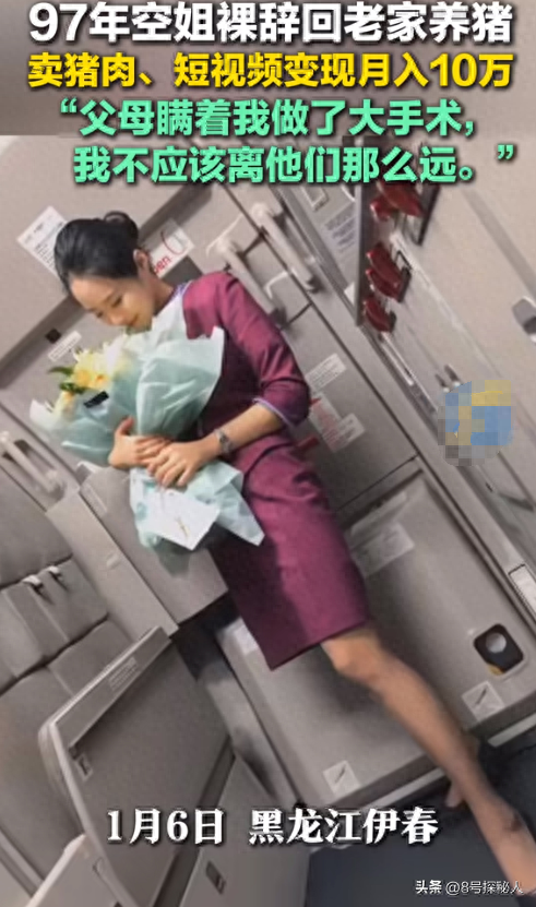 美女空姐裸辞回家养猪,年底俩月收入20万,一次意外却火出圈了!