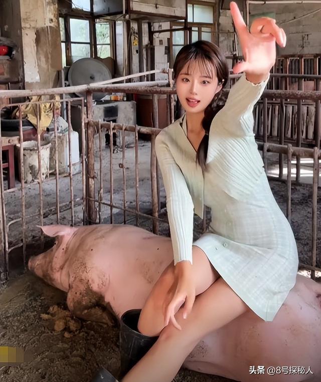 美女空姐裸辞回家养猪,年底俩月收入20万,一次意外却火出圈了!