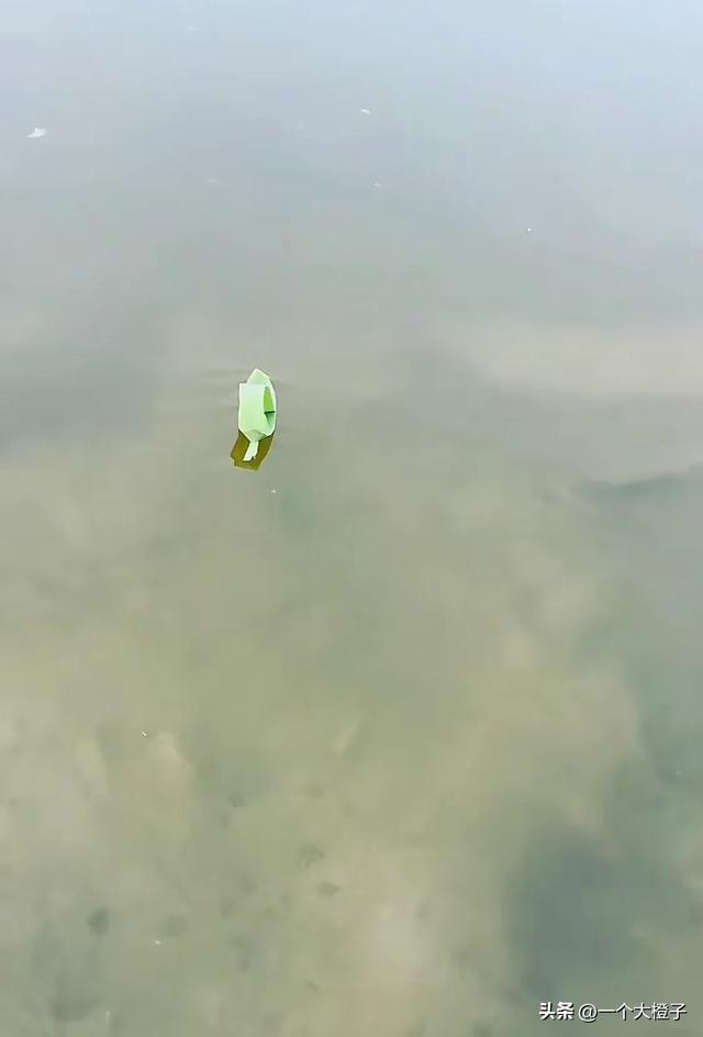 美女用芦苇叶折玩具,当她折好放水里之后,它竟然自己开走了!