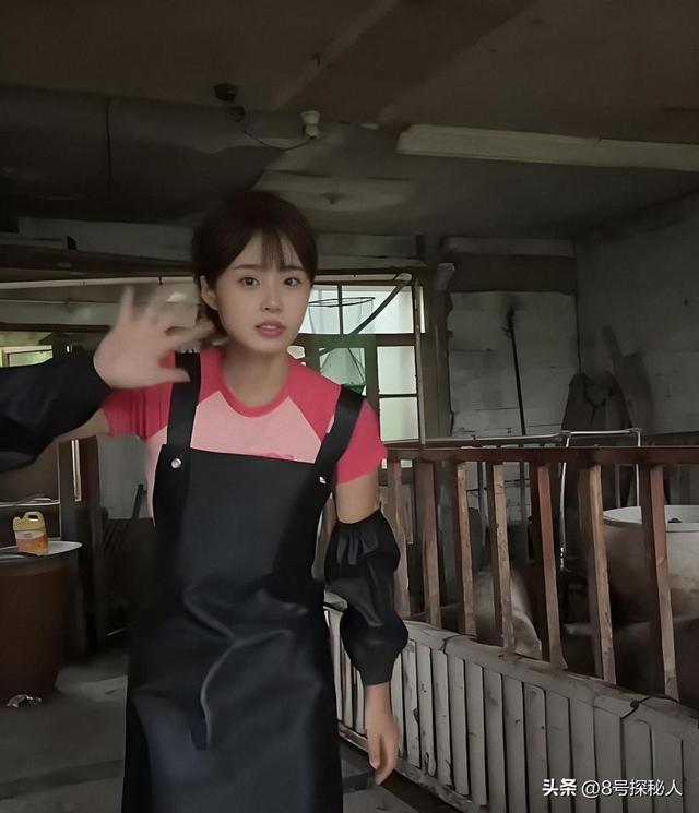 美女空姐裸辞回家养猪,年底俩月收入20万,一次意外却火出圈了!