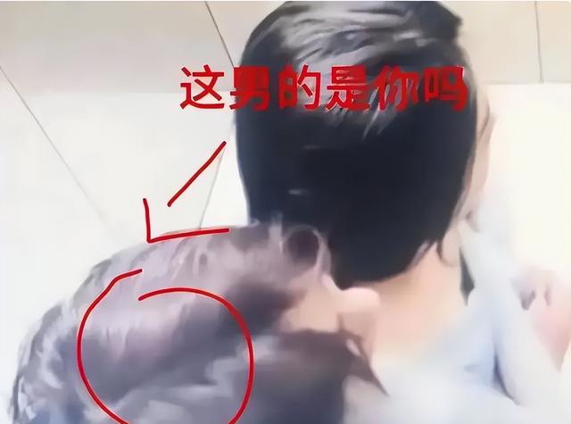 炸裂!浙江女老师与男学生出轨,电梯内学生搂住亲热 老师美照曝光