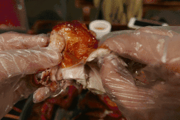 德国人每年将五千万只雄性雏鸡送进毒气室杀死!