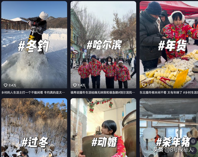 美女空姐裸辞回家养猪,年底俩月收入20万,一次意外却火出圈了!