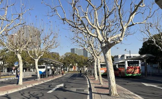 抵达铁路上海南站后,如何换乘公共交通最方便?攻略来啦!