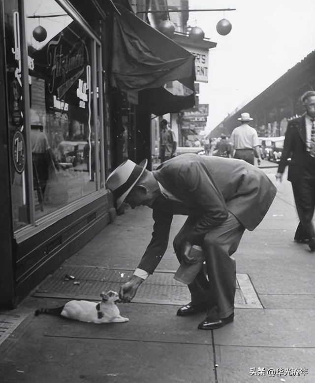 变态的纳粹德国,脱光犹太人女人衣服,集体屠杀!