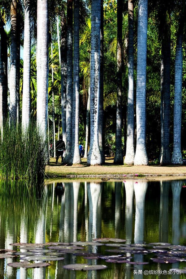 从昆明到西双版纳怎么去,有高铁坐吗,西双版纳怎么游玩