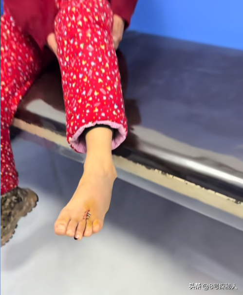 美女空姐裸辞回家养猪,年底俩月收入20万,一次意外却火出圈了!