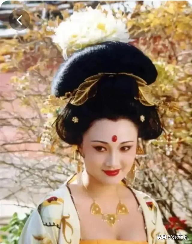 揭秘中华四大系列:美女、才女、美男、才子