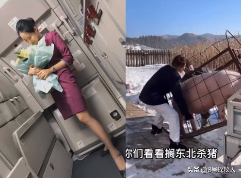 美女空姐裸辞回家养猪,年底俩月收入20万,一次意外却火出圈了!