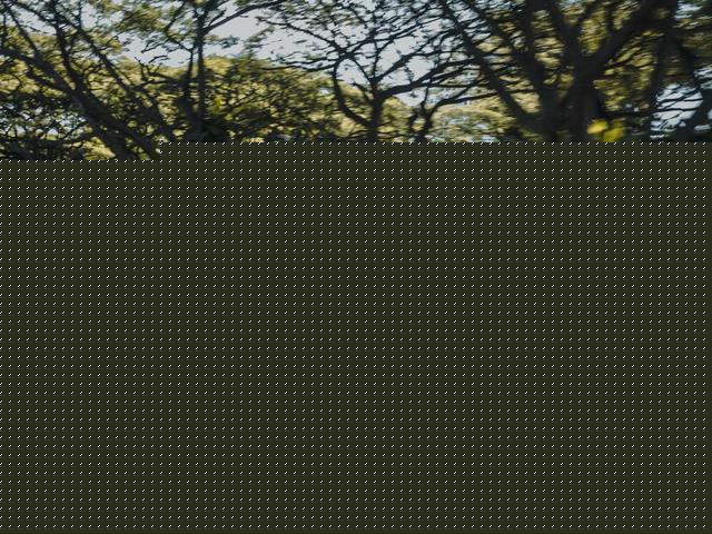 高清汽车精美图片欣赏,看了都渴望来一辆