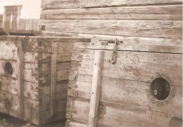 1913年,蒙古国的一个女子被剥光衣服,装进木箱,扔进了沙漠里