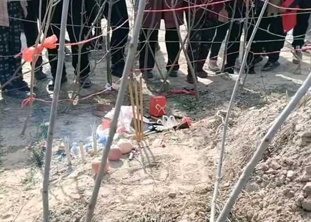 20条大蛇,无数条小蛇,女子与蛇“同居”15年,为何从未被攻击?