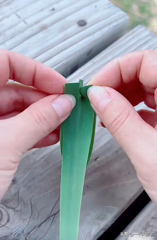 美女用芦苇叶折玩具,当她折好放水里之后,它竟然自己开走了!