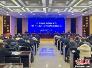 青海2024年天然草原鲜草产量突破1亿吨大关