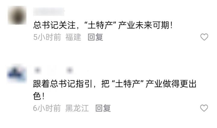 为了这条花灯长廊,网友们纷纷作起了诗!