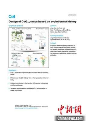 辅酶Q10有了新的食物来源 中国专家成功培育辅酶Q10水稻新品种