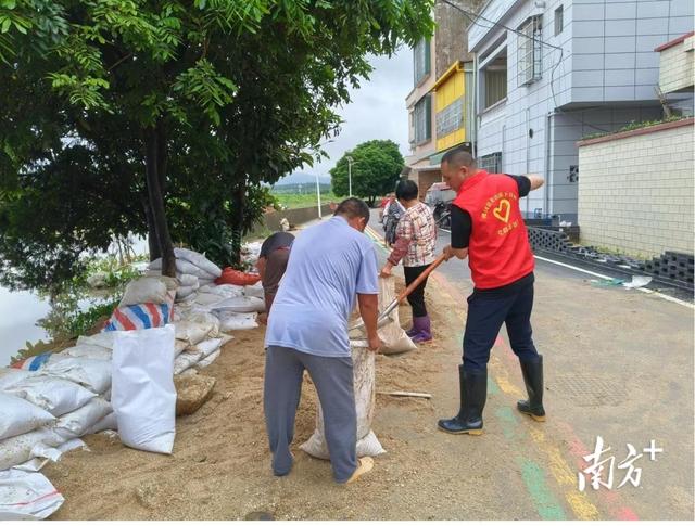 佛冈龙山：“兵支书”冲锋在防汛“战场”