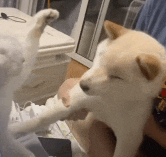 表情包丨展开说说