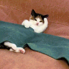 表情包丨展开说说