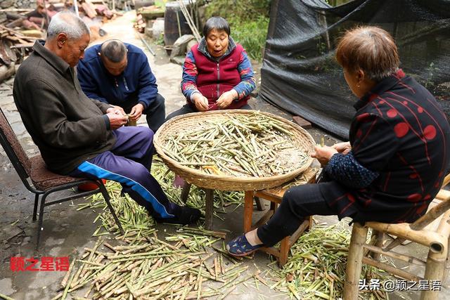 宁波有个深山古村，电视剧《南下》拍摄地，仿佛时空穿越