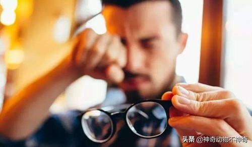 致命毒蝎号称“穷人的毒品”，巴铁还把它当烟抽，它有什么魔力？