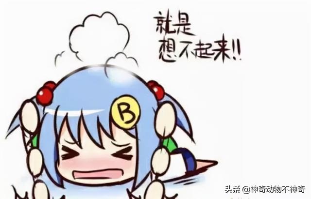 致命毒蝎号称“穷人的毒品”，巴铁还把它当烟抽，它有什么魔力？