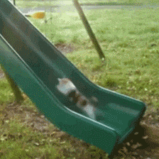 表情包丨展开说说