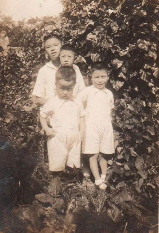 见证美国60多年风云变幻,许倬云新书谈中国当政何处去