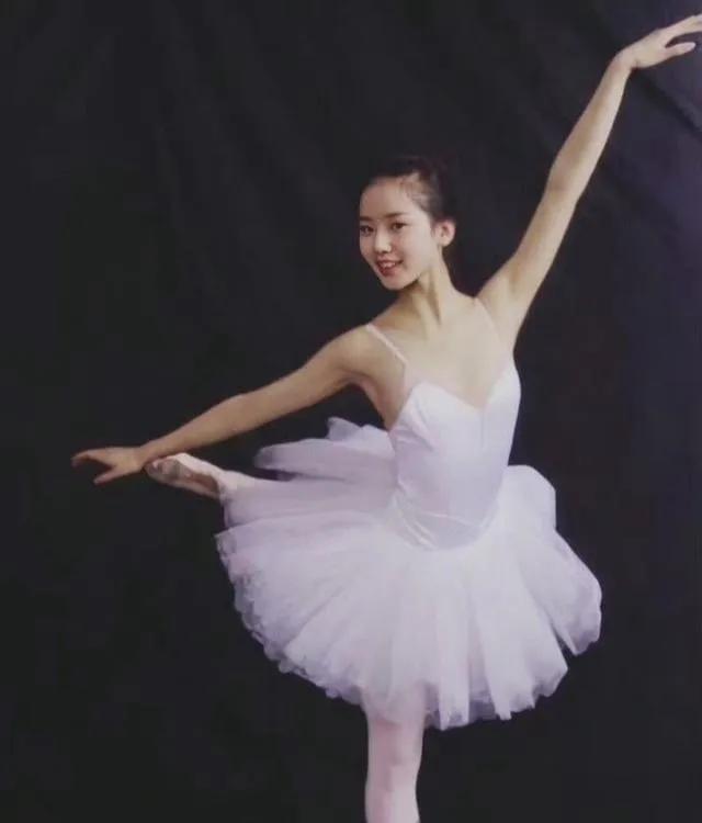 娱乐圈回族女神,谁是颜值扛把子?