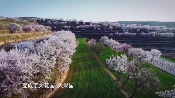 颠覆你的想象！《山海情》里的“西海固”完全变了